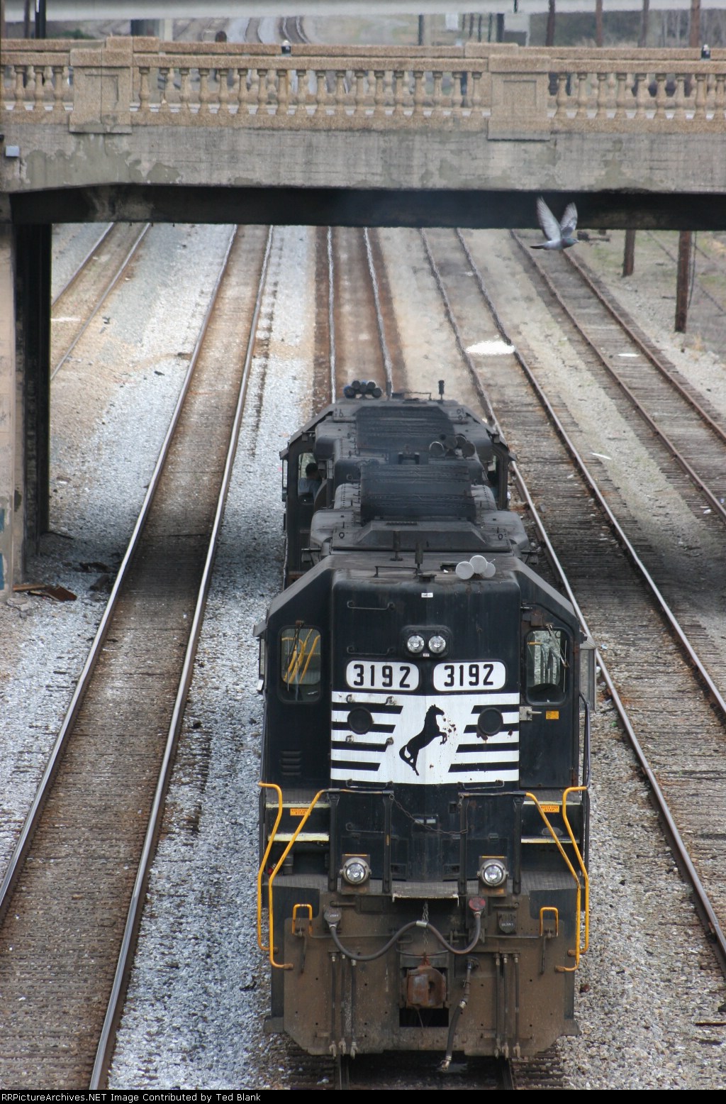 NS 3192